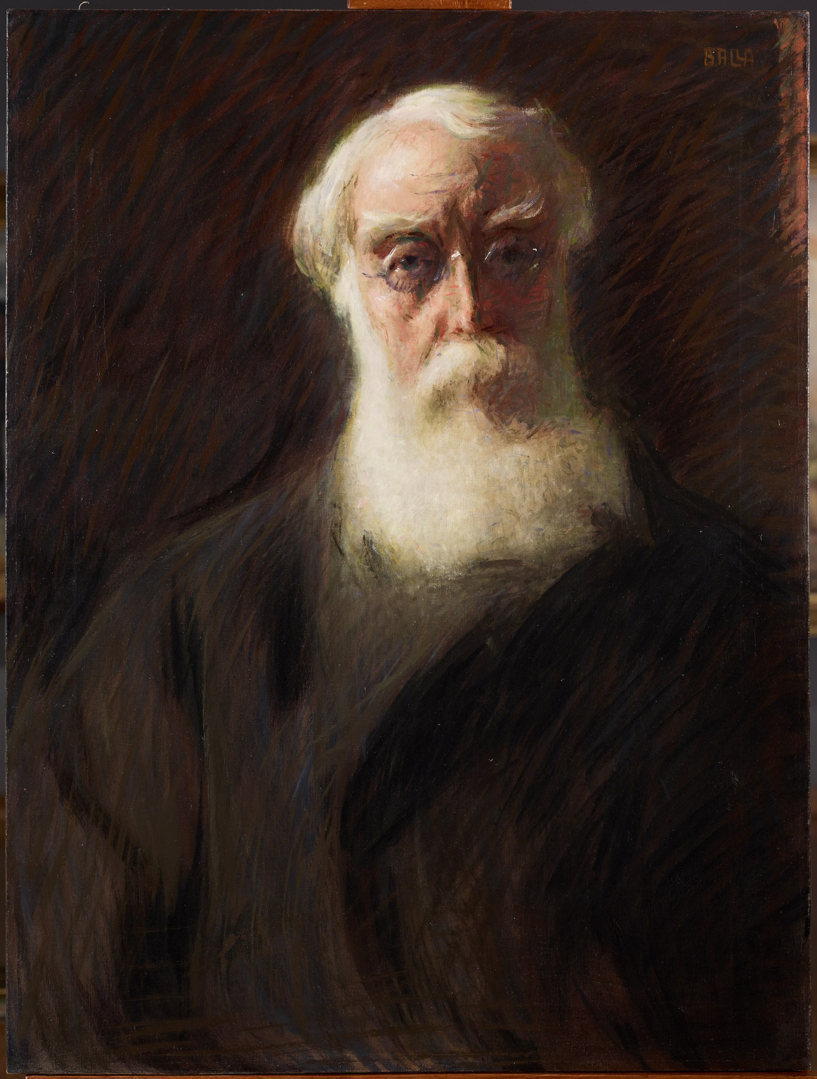 Ritratto di Onorato Caetani Il Divisionismo